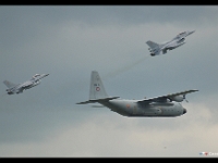 DSC 1456 : lookeed, C-130 hercule, force aérienne belge