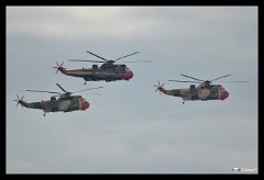 DSC 1681 : seaking, force aérienne belge