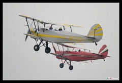 DSC4629
