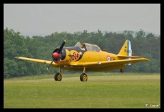 DSC5233
