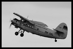 DSC 0763