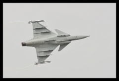 DSC 1360