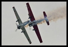 DSC 6131