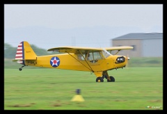 DSC 5565