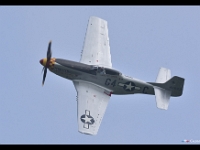 DSC 5835