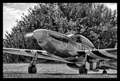DSC 3686 7 8