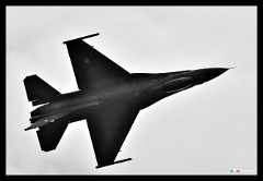 DSC 2164