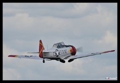 DSC 8167