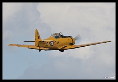 DSC 8179