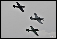 DSC 8619