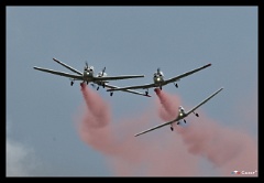 DSC 5177