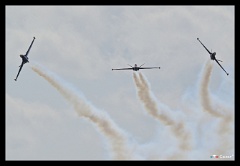 DSC 1175