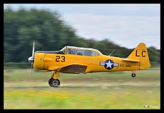 DSC 5455