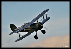 DSC 8034
