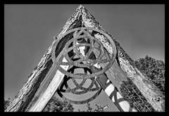 DSC 2007 8 9