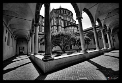 DSC 6906 7 8