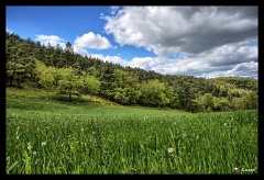 DSC 3006 7 8  HDR created and tone mapped with easyHDR 3.15.1: [1] DSC_3007.NEF, [2] DSC_3006.NEF, [3] DSC_3008.NEF