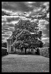 DSC 6339 40 41  HDR created and tone mapped with easyHDR 3.15.1: [1] DSC_6340.NEF, [2] DSC_6339.NEF, [3] DSC_6341.NEF