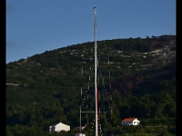 DSC 9554
