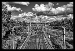 DSC 4460 1 2