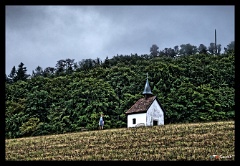 DSC 1780 1 2  HDR created and tone mapped with easyHDR 3.15.1: [1] DSC_1781.NEF, [2] DSC_1780.NEF, [3] DSC_1782.NEF