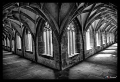 DSC 2440 1 2  HDR created and tone mapped with easyHDR 3.15.1: [1] DSC_2441.NEF, [2] DSC_2440.NEF, [3] DSC_2442.NEF